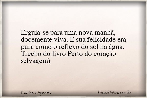 Frase de Clarice Lispector